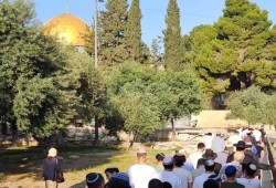 200 مستوطن يقتحمون المسجد الأقصى في عيد الأسابيع اليهودي
