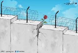 الحدود