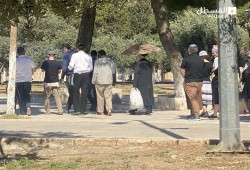 مستوطنون يقتحمون الأقصى بحماية مشددة