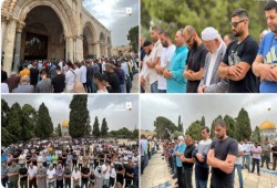 أكثر من 50 ألف مصلٍّ أدوا الجمعة في الأقصى