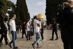 مستوطنون يقتحمون الأقصى ..واعتقالات وقطع أشجار في الضفة والقدس
