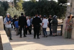 فلسطين: اقتحام الأقصى ومقاومون يستهدفون قوة للاحتلال في "سلواد" ومداهمات واعتقالات بالضفة