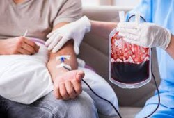 5 فئات أكثر عرضة لخطر الإصابة بفقر الدم.. اعرف طرق الوقاية