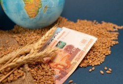 ذا ناشيونال إنترست: هكذا فاجأت إفريقيا الغرب أثناء الحرب في أوكرانيا