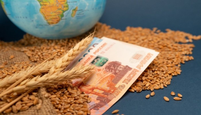 ذا ناشيونال إنترست: هكذا فاجأت إفريقيا الغرب أثناء الحرب في أوكرانيا