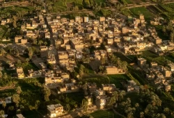 بعد إصابة 250 شخصا بحمى الضنك في قنا.. الأطباء تحذر من فقدان السيطرة على الوضع