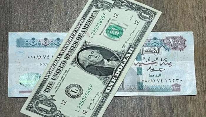 الأزمة الاقتصادية تتفاقم وتوقعات بسقوط مدو جديد للجنيه