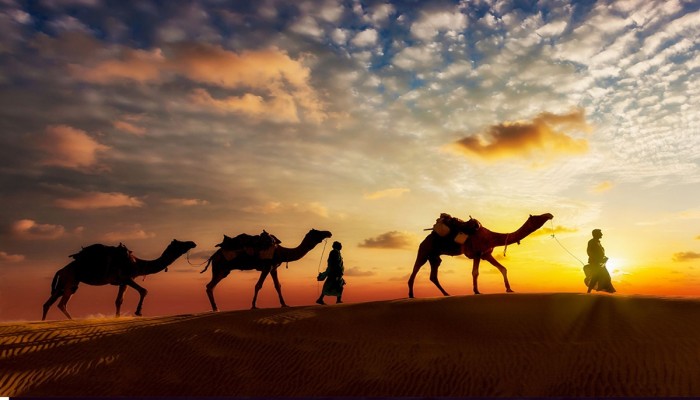علمتني الهجرة أن الدول تبنى بالحق والقوة