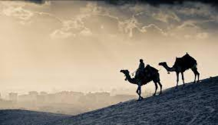 الهجرة النبوية دروس وعبر (3/4)