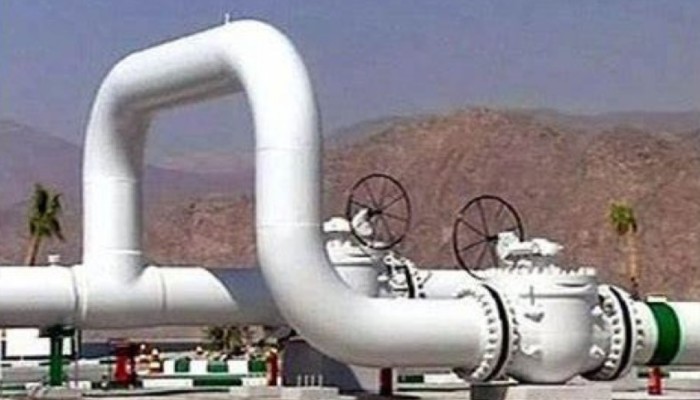رغم إخلاء سبيلها.. احتجاز رافعة لافتة "إسرائيل منورة بغازنا" بالأمن الوطني