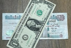 سعر الدولار الآن في البنوك المصرية أمام الجنيه المصري