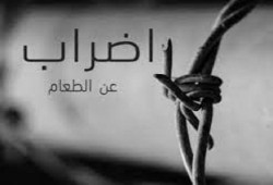 هالة فهمي تعاود الإضراب عن الطعام في السجن