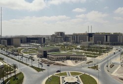 هنا ليست القاهرة: عاصمة غريبة لوطن غريب