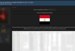 من قوائم الانتظار.. تسريب بيانات 2 مليون مريض وعرضها للبيع