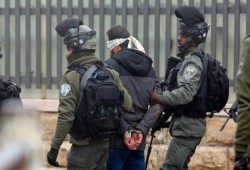 غالبيتهم أسرى محررون.. الاحتلال يعتقل 22 فلسطينيا من الضفة الغربية