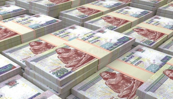 منها تعويم الجنيه والكهرباء.. 5 أزمات تعصف بحياة المصريين