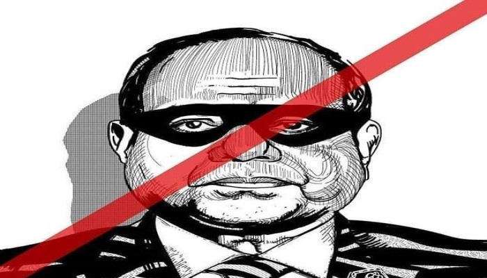 مراقبون: محمود السيسي كلمة السر في طائرة زامبيا
