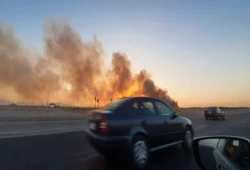 حريق هائل يلتهم الغابة الشجرية بطور سيناء