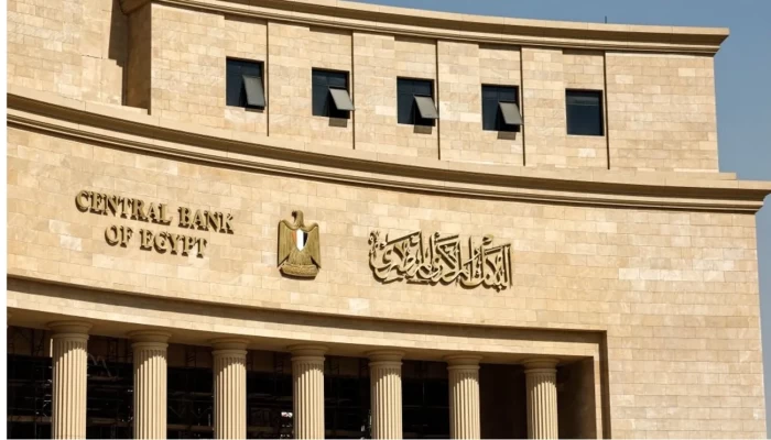 استمرار خسائر البنك المركزي المصري للعام السادس