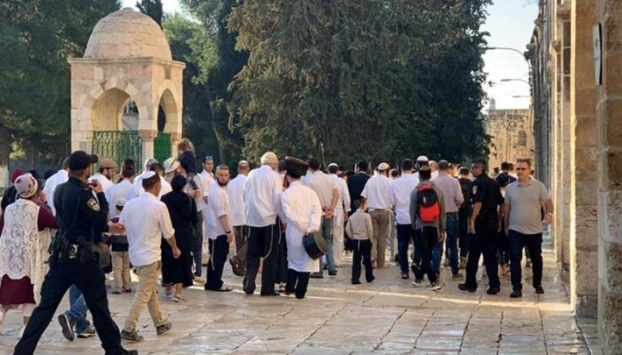 الأوقاف الفلسطينية: 23 اقتحاما للأقصى ومنع الأذان 51 وقتا بـ"الإبراهيمي" خلال الشهر الماضي