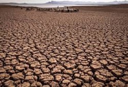 معهد دولي: مصر و14 دولة عربية في خطر الجفاف المهدد للاستقرار السياسي
