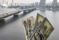 وكالة "فيتش" تتوقع انخفاض قيمة الجنيه رسميا أمام الدولار 20% بنهاية العام الجاري