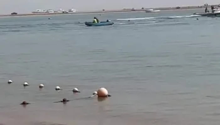 قرش يلتهم ذراع سيدة بمدينة "دهب"