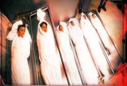 أطلقت سيدة وابنها.. "حماس" تؤكد استهدافها المنظومة العسكرية الصهيونية وتجنب المدنيين