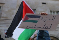 عقب اعتداء الصهاينة على غزة.. موجة من الحوادث المعادية للمسلمين في الولايات المتحدة تعيد إحياء صدمة 11 سبتمبر