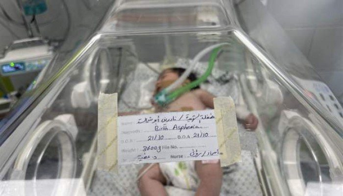"مكة" رمز الحياة بغزة.. قتلت أمها قبل ولادتها وأنقذها الأطباء