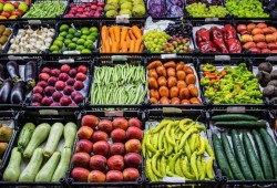 أسعار الخضروات والفواكه اليوم الأحد