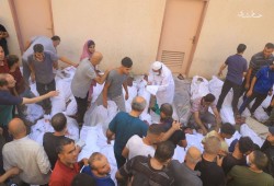 "مجزرة جباليا" تتصدر إكس بقنابل أمريكية وخيانة عربية