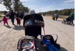 مؤتمر يطالب بوقفة حاسمة ضد الجرائم التي يرتكبها الاحتلال ضد أطفال ونساء غزة