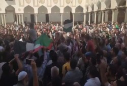 الأزهر الشريف يطالب بمحاكمة دولية للكيان الصهيوني لجرائمه ضد مستشفيات غزة
