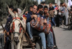 ماذا يخبرنا الصمود الأسطوري في غزة؟