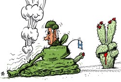 صبر غزة
