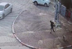 استشهاد فلسطينية حامل بعد طعنها من قبل مستوطن صهيوني (فيديو)