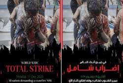 نجح بنسبة مقبولة.. "الإضراب الشامل" يدعو لسحب الأموال العربية من البنوك الغربية