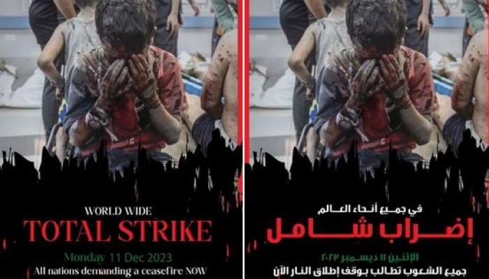 نجح بنسبة مقبولة.. "الإضراب الشامل" يدعو لسحب الأموال العربية من البنوك الغربية