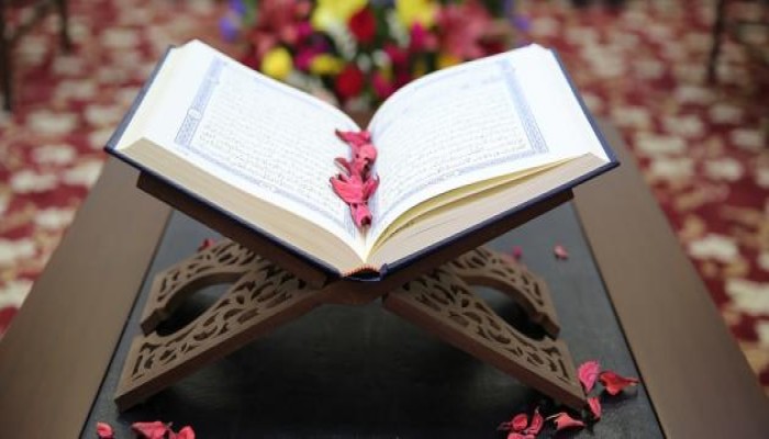 وكان سعيكم مشكورا