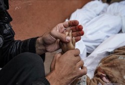 قصف جنوني على كافة الجبهات.. 165 شهيدا و250 مصابا في 14 مجزرة خلال يوم واحد