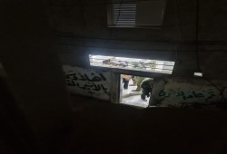 نور شمس... ظلال الغضب المستديم!