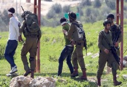 حصاد 2023: اعتقال 11 ألف فلسطيني و48 ألف مستوطن اقتحموا الأقصى