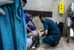 برلماني فرنسي يدعو لمنح جائزة نوبل للعاملين في صحة غزة
