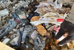 12 مجزرة خلال 24 ساعة تسفر عن استشهاد 113 وإصابة 250‍ في غزة