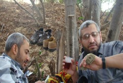 تسريبات صور "الضيف" تكشف غباء الصهاينة كما زلزل أركانهم
