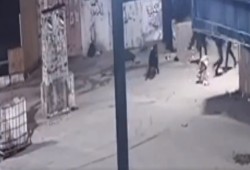 بالفيديو.. الاحتلال يعدم فتى بدم بارد ويطلق النار على اثنين آخرين حاولا مساعدته