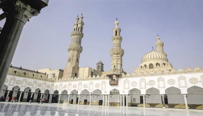 الأزهر يعلن تأييده لجنوب إفريقيا في دعواها ضد جرائم الإبادة الجماعيَّة في غزة