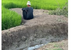 البكاء على الأطلال: ما لا تعرفه عن زراعة القصب!