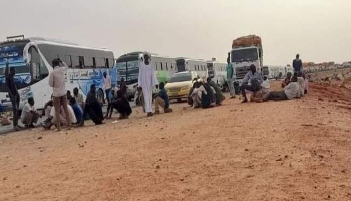 سودانيون في مصر يشكون تأخر منحهم الإقامة وارتفاع الجباية